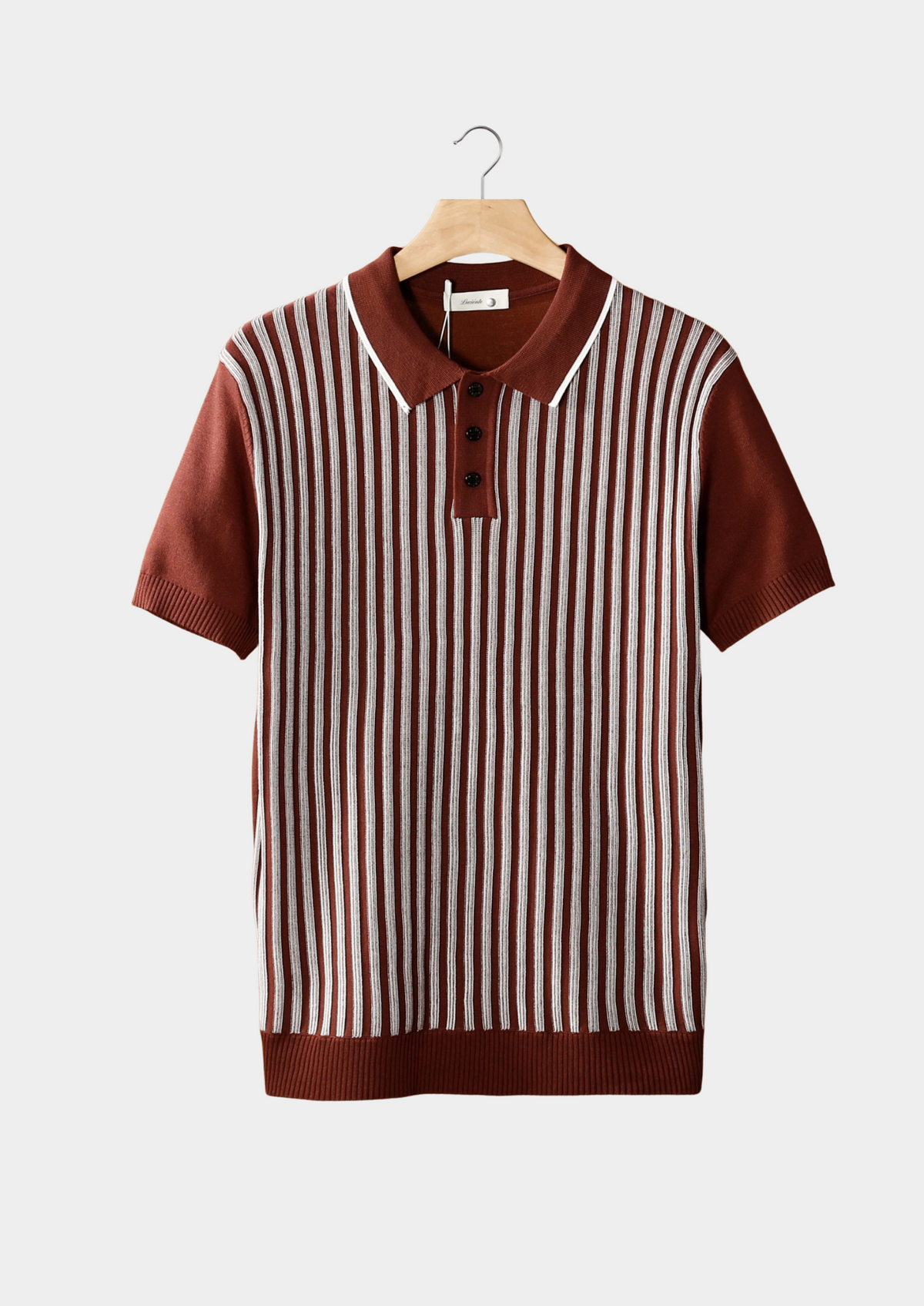Rust Brown Vertical Striped Polo | Apuro